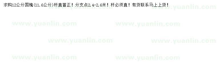 求購(gòu)12公分國(guó)槐
