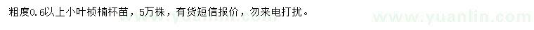 求購1米石楠球