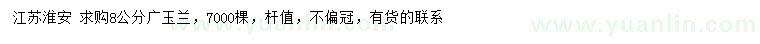 求購(gòu)8公分廣玉蘭
