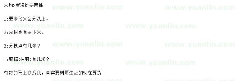 求購米徑90公分羅漢松