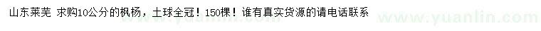 求購10公分楓楊