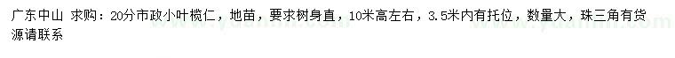 求購20公分小葉欖仁