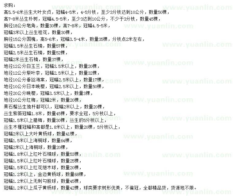 求購叢生大葉女貞、叢生樸樹、皂角等