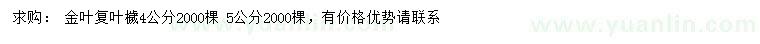 求購4、5公分金葉復(fù)葉槭