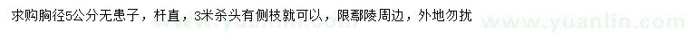 求購胸徑5公分無患子