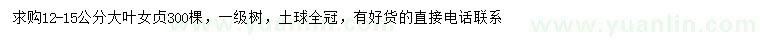 求購12-15公分大葉女貞