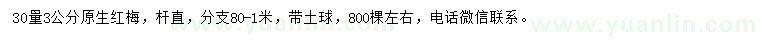 求購(gòu)30量3公分紅梅