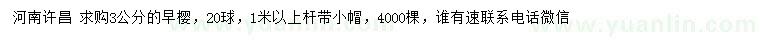 求購3公分早櫻