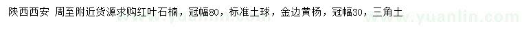求購(gòu)冠幅80公分紅葉石楠、30公分金邊黃楊