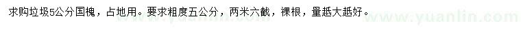 求購5公分國槐