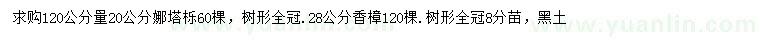 求購(gòu)1.2米量20公分娜塔櫟、28公分香樟