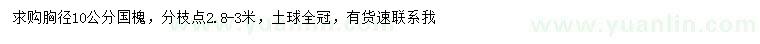 求購(gòu)胸徑10公分國(guó)槐