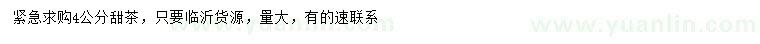 求購4公分甜茶