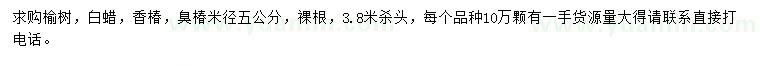 求購(gòu)榆樹、白蠟、香椿等