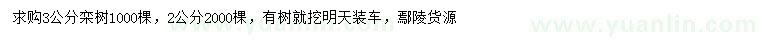 求購(gòu)2、3公分欒樹