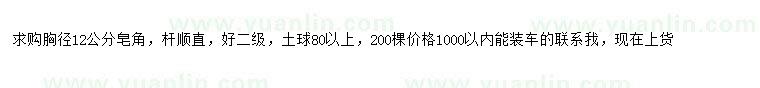 求購(gòu)胸徑12公分皂角