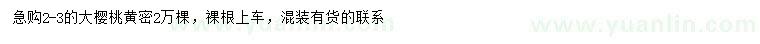 求購2-3公分大櫻桃