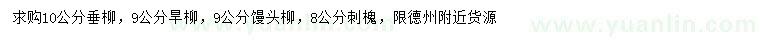 求購(gòu)垂柳、旱柳、饅頭柳等