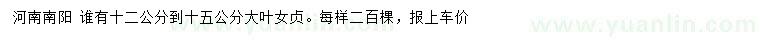 求購12-15公分大葉女貞