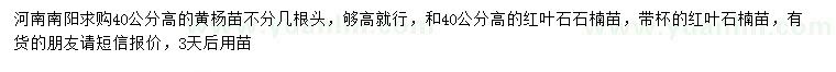 求購(gòu)高40公分黃楊苗、紅葉石石楠苗