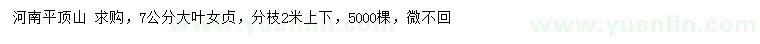 求購7公分大葉女貞