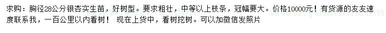 求購胸徑28公分銀杏