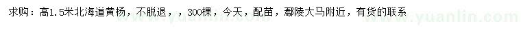 求購(gòu)高1.5米北海道黃楊