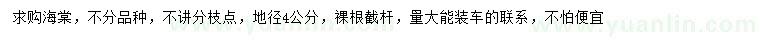 求購(gòu)地徑4公分海棠