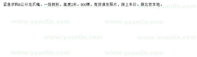 求購(gòu)6公分龍爪槐