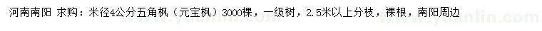 求購米徑4公分五角楓（元寶楓）