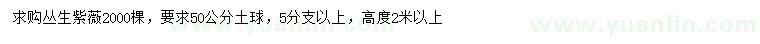 求購(gòu)高度2米以上叢生紫薇