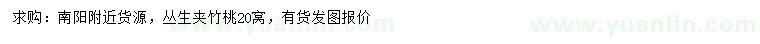 求購叢生夾竹桃