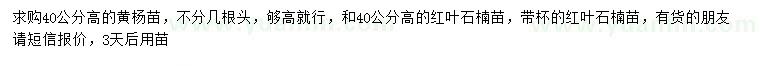 求購(gòu)高40公分黃楊苗、紅葉石楠苗