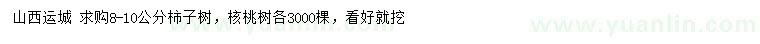 求購8-10公分柿子樹、核桃樹