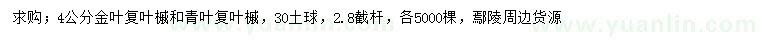 求購4公分金葉復(fù)葉槭、青葉復(fù)葉槭