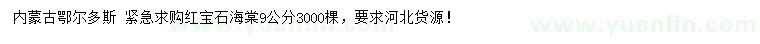 求購(gòu)9公分紅寶石海棠