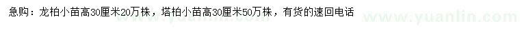 求購高30公分龍柏小苗、塔柏小苗