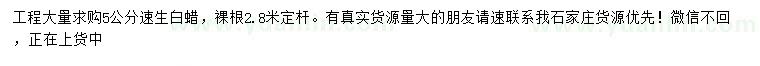 求購5公分速生白蠟