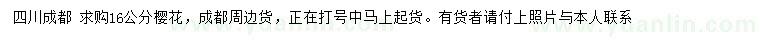 求購16公分櫻花