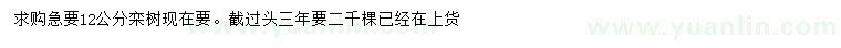 求購(gòu)12公分欒樹(shù)