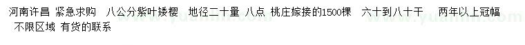 求購地徑20量8公分紫葉矮櫻