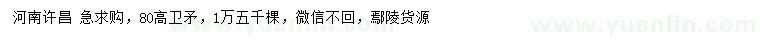 求購高80公分衛(wèi)矛