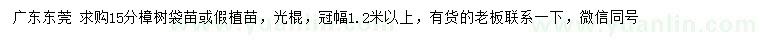 求購15公分樟樹