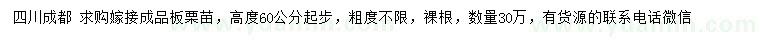 求購(gòu)高度60公分起步板栗苗