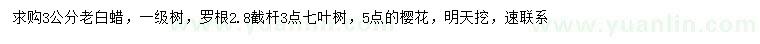 求購(gòu)老白蠟、七葉樹、櫻花