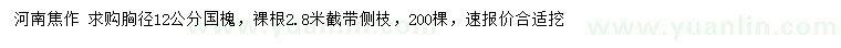 求購胸徑12公分國槐