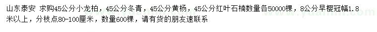 求購小龍柏、冬青、黃楊等