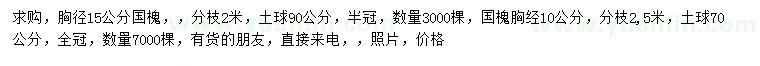 求購(gòu)胸徑10、15公分國(guó)槐