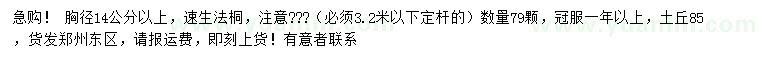 求購(gòu)胸徑14公分以上速生法桐