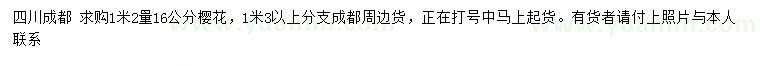 求購1.2米量16公分櫻花